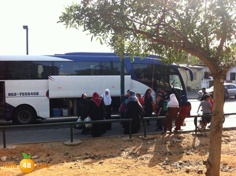 aqsa shad re7al 1104 (1).jpg